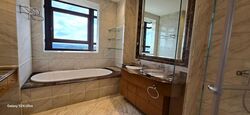 Ardmore Park (D10), Condominium #629283851